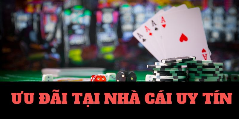 SANCLUB-Sống động và hấp dẫn： Casino trực tuyến!